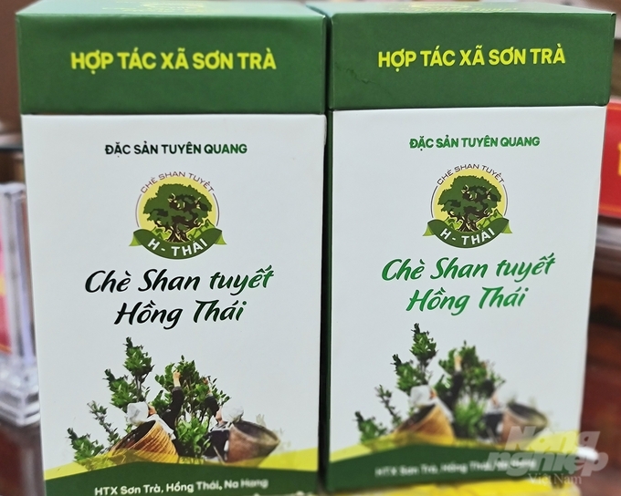 Sản phẩm chè Shan tuyết Hồng Thái của tỉnh Tuyên Quang được đề nghị đánh giá phân hạng từ 3 sao lên 4 sao. Ảnh: Đào Thanh.