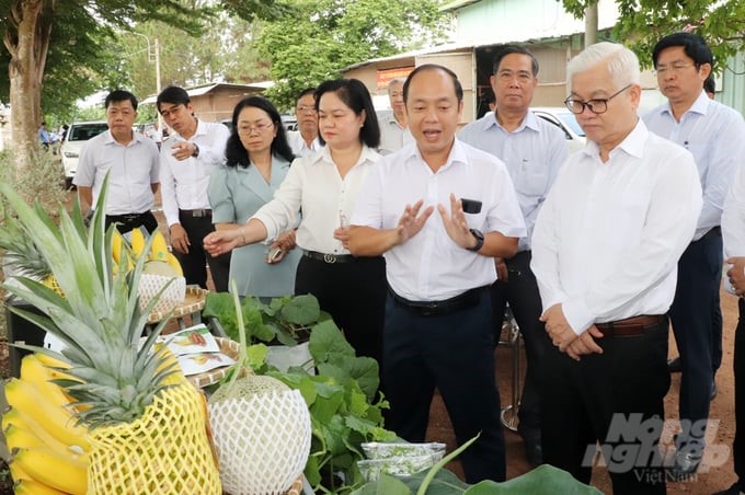 From the forefront of Unifarm, Phu Giao has emerged with new economic models owned by farmers in accordance with the locality's planning orientation. Photo: Tran Trung.