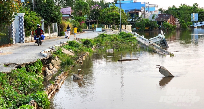 Vị trí sạt lở bờ sông, ăn sâu vào đường giao thông tại thị trấn Kế Sách, huyện Kế Sách, tỉnh Sóc Trăng. Ảnh: Kim Anh.