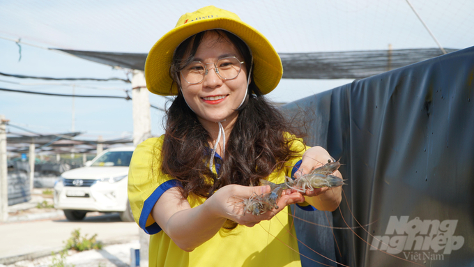 Nhờ ứng dụng nhiều công nghệ hiện đại mà tôm thương phẩm của Minh Phúc Lộc An ít bệnh, tăng trưởng nhanh và chất lượng. Ảnh: Lê Bình.