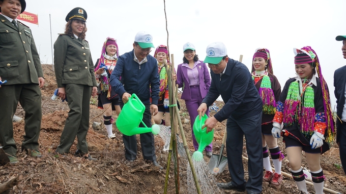 Lãnh đạo tỉnh Quảng Ninh tham gia trồng rừng gỗ lớn, cây bản địa. Ảnh: Nguyễn Thành.