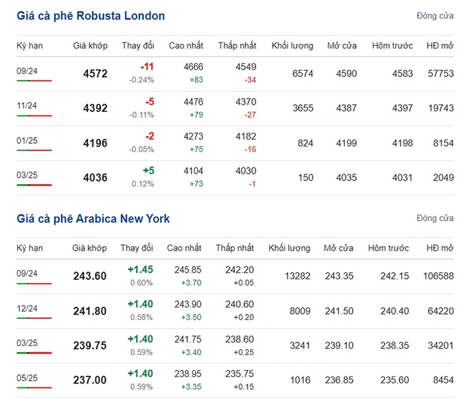 Giá Arabica và Robusta mới nhất ngày 17/7/2024