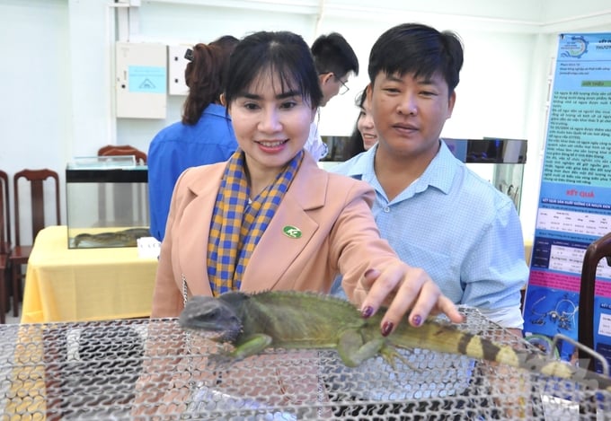 Successful commercial farming of Chinese water dragons will help reduce pressure on wild populations; and introduce a new avenue for livestock development, thereby attracting local farmers to invest in this initiative. Photo: Trung Chanh.