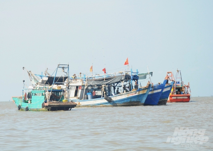 4 tàu cá của ngư dân Kiên Giang có trong danh sách vi phạm vùng biển nước ngoài bị bắt giữ nhưng qua điều tra, xác minh có tàu vẫn đang hoạt động trên vùng biển Việt Nam, tàu bị Thái Lan bắt giữ nghi sử dụng biển số giả để hoạt động khai thác thủy sản bất hợp pháp (ảnh minh họa). Ảnh: Trung Chánh.