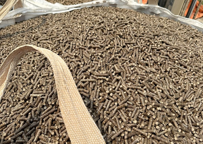 Revenue from Vietnam's wood pellet exports reached nearly 300 million USD in the first six months of 2024. Photo: Son Trang.