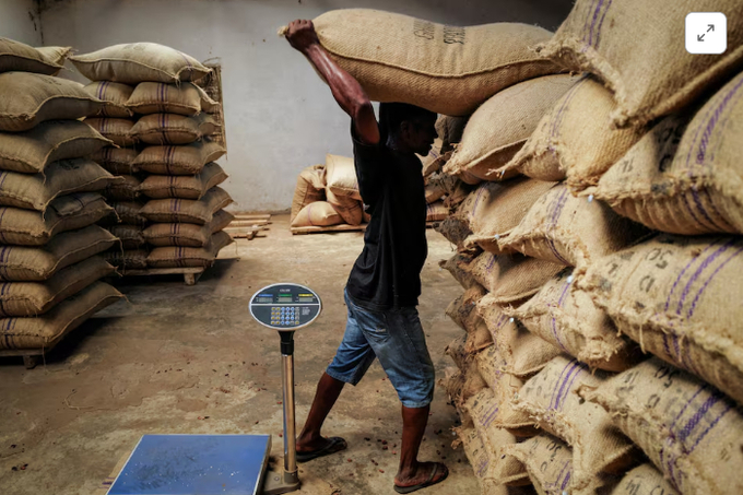 A worker carries a bag of sun-dried cocoa beans at a warehouse in Kwabeng in the Eastern Region, Ghana, February 28, 2024. 