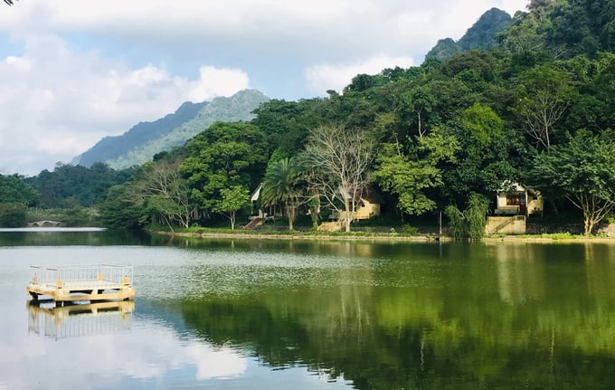 Cuc Phuong National Park – a special-use forest that offers a variety of tourism activities. Photo: Tung Dinh.