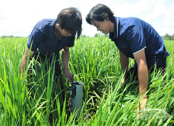 The Ministry of Agriculture and Rural Development and related units are actively implementing many solutions synchronously to achieve the goals set by the Project. Photo: Pham Hai.