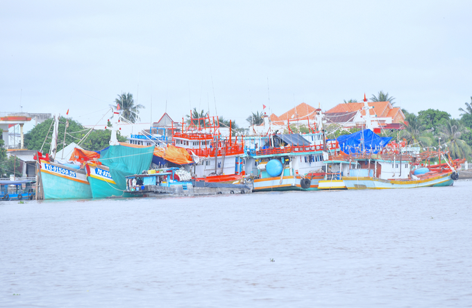 Đoàn tàu cá của ngư dân phường Tân Long, thành phố Mỹ Tho đang neo đậu chờ con nước để ra khơi. Ảnh: Minh Đảm.