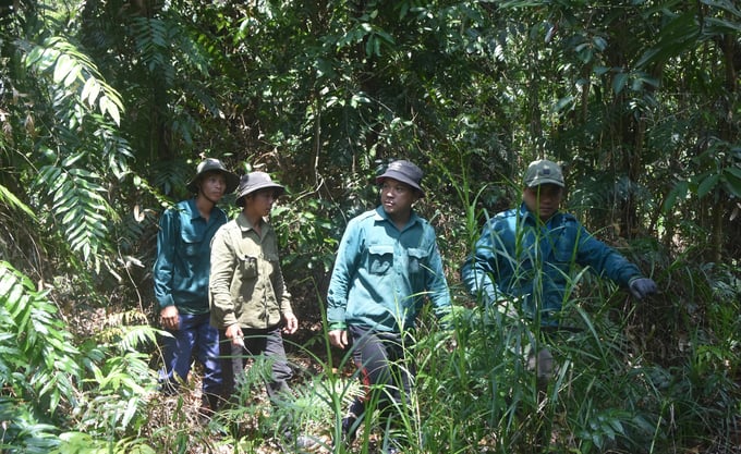 Forest protection officers at U Minh Ha National Park. Photo: Trong Linh.