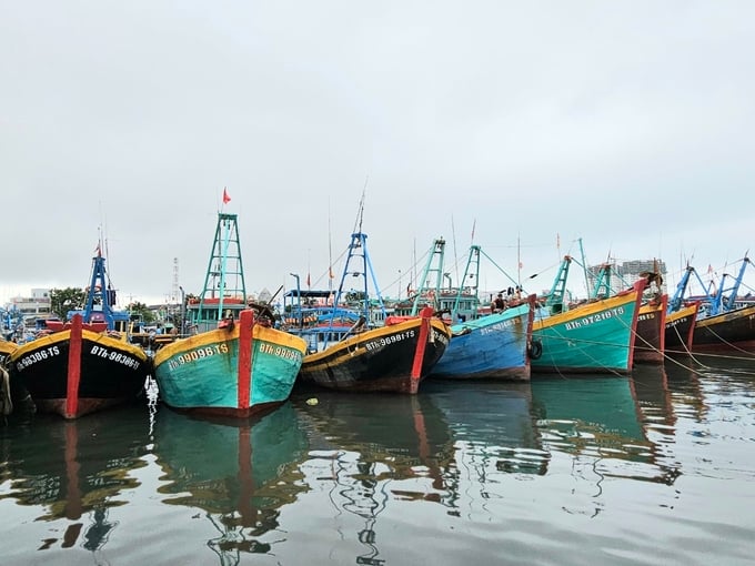 The fishing fleet of Binh Thuan Province. Photo: KS.