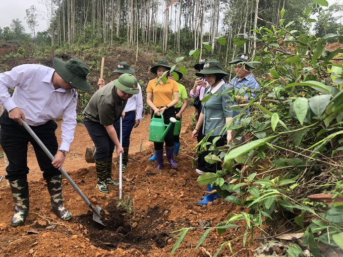 Bắc Kạn là tỉnh có độ che phủ rừng cao nhất cả nước, đạt hơn 73% năm 2023. Ảnh: Ngọc Tú. 