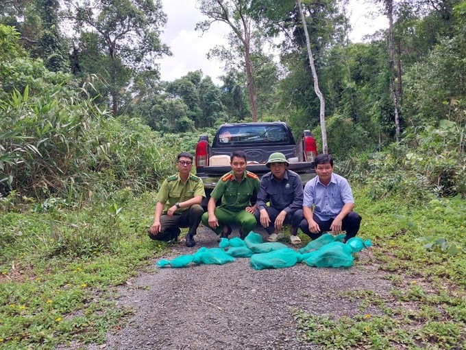 Endangered wildlife species are released back into nature. Photo: Tuan Anh.