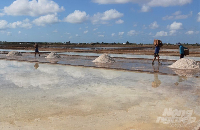 Bac Lieu salt industry has gone through many ups and downs, but salt farmers still retain their traditional features. Photo: NNVN.