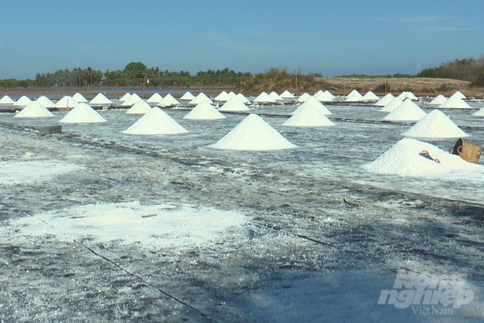 The combination of new technology and traditional techniques will bring Bac Lieu salt farmers better income from the salt industry. Photo: NNVN.