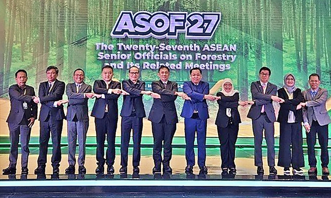 ASOF 27 có sự tham gia của 9 quốc gia thành viên ASEAN.