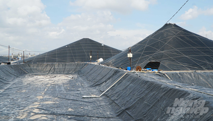 Many shrimp farming households in Bà Rịa - Vũng Tàu are 'lock their ponds' or only restarting half of their farming operations due to numerous difficulties and challenges. Photo: Le Binh.