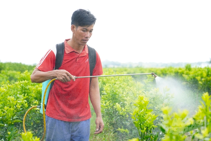 Thuốc BVTV là vật tư quan trọng trong phòng chống sinh vật gây hại cây trồng. Ảnh: Kim Anh.