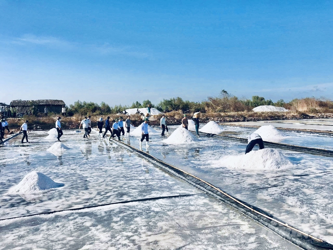 Bac Lieu is famous as one of Vietnam's leading salt producing regions. Photo: Trong Linh.