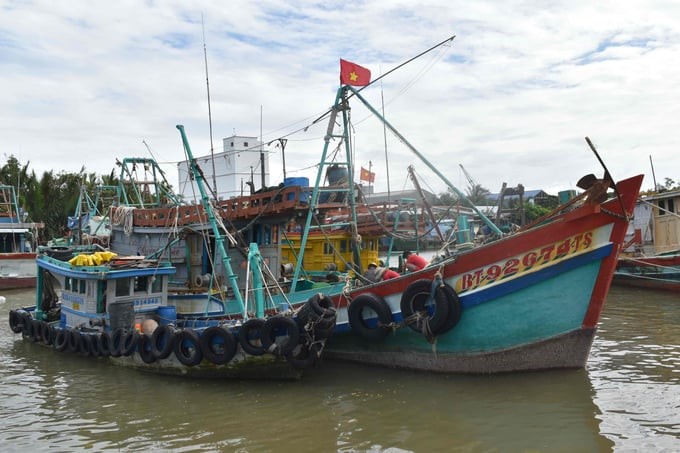 Ben Tre province is focusing on removing difficulties for '3 Nos' fishing vessels. Photo: Minh Dam.