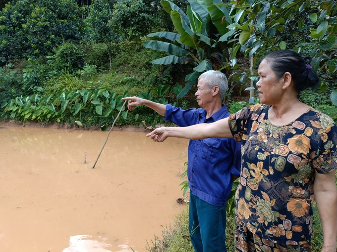 Ao cá nhà ông doanh đầy bùn đất, nước đục ngầu không thể nuôi cá. Ảnh: Thanh Tiến.