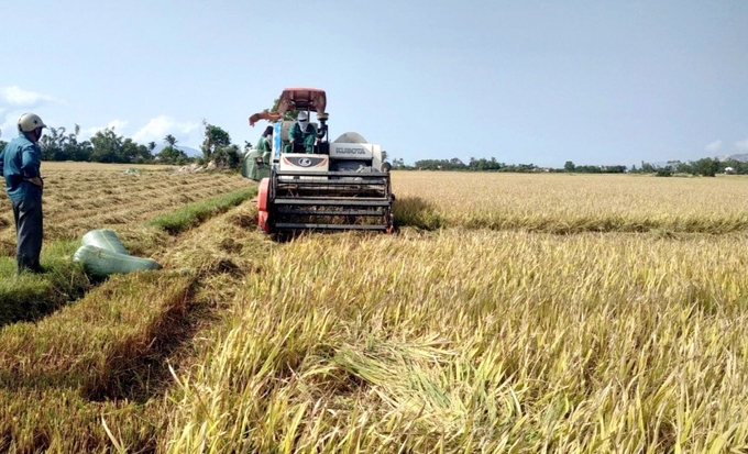 Để có mùa vàng, công nhân thủy nông nỗ lực điều tiết nước đảm bảo cho sản xuất lúa. Ảnh: KS.