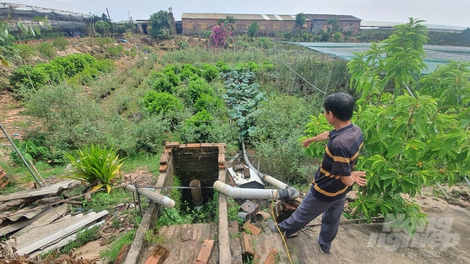 Ao cá rộng 5.000m2 nuôi cá rô đơn tính, ông Toàn sang tận Thái Lan để học hỏi kinh nghiệm, bây giờ cũng bỏ không, thành vườn ươm cây giống. Ảnh: K.Trung.