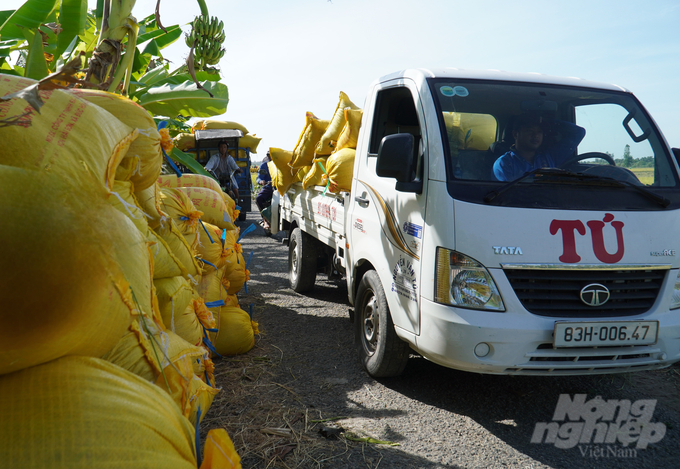 Thực hiện Đề án 1 triệu ha chuyên canh lúa chất lượng cao, tỉnh Sóc Trăng sẽ tập trung quy hoạch vùng sản xuất lúa chất lượng cao tại các huyện đã đăng ký tham gia. Ảnh: Kim Anh.