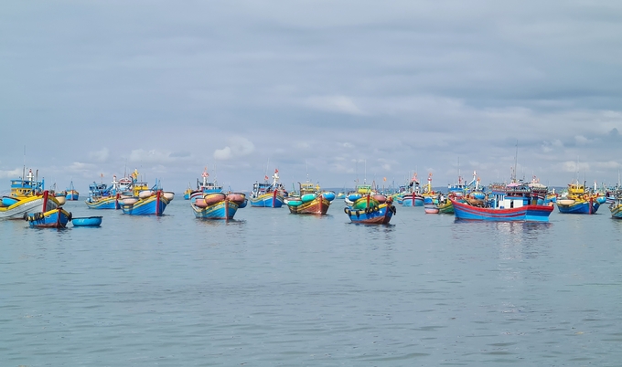 Thủ tướng giao Bộ NN-PTNT chủ trì, phối hợp với các cơ quan, địa phương quyết tâm gỡ 'thẻ vàng' trong thời gian sớm nhất. Ảnh: Hồng Thắm.