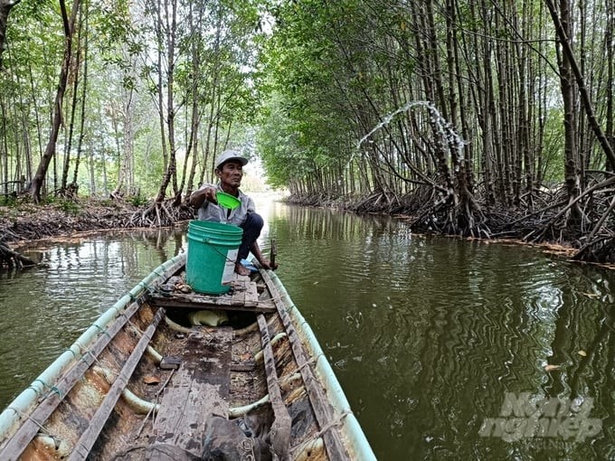 Raising sea crabs according to VietGAP direction helps improve economic efficiency and protect the environment. Photo: Trong Linh.