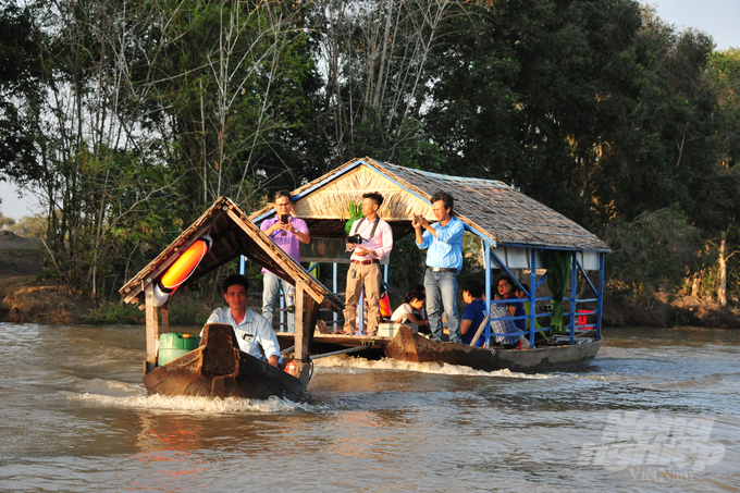 Coming to Tram Chim National Park, visitors will feel the values ​​of nature, with vast primeval forests and many wild bird species. Photo: Le Hoang Vu.