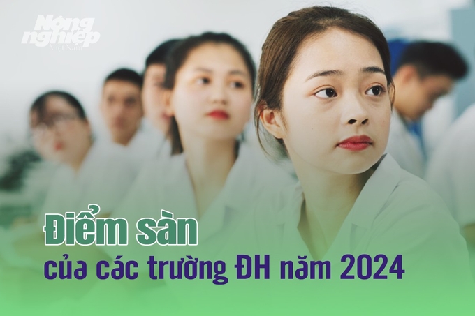 Cập nhật điểm sàn Đại học năm 2024 mới nhất