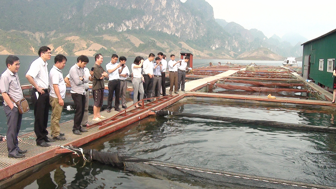 Du khách tham quan mô hình nuôi cá lồng của các HTX thủy sản tại huyện Quỳnh Nhai. Ảnh: Văn Thiệu.