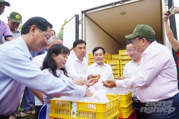 Lô thanh nhãn xuất khẩu lần này có trọng lượng 1,2 tấn của THT sản xuất cây ăn trái Trạng Tí Garden, xã Thới Hưng, huyện Cờ Đỏ. Ảnh: Kim Anh.