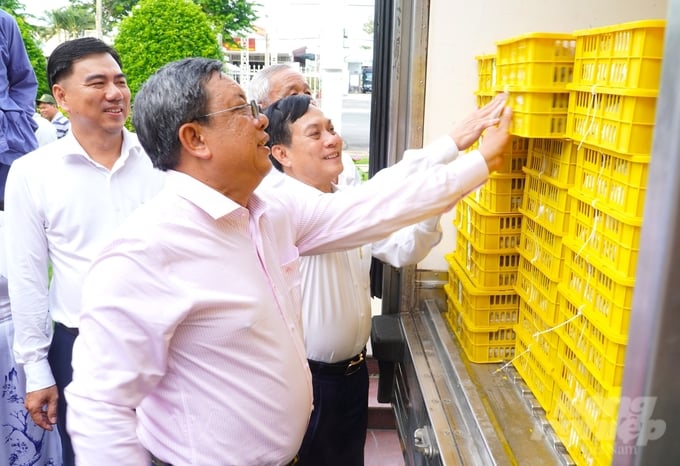 The first longan export shipment from Trang Ti Garden Fruit Production Cooperative will encourage other cooperatives, cooperative groups, and production areas to expand their exports into international markets. Photo: Kim Anh.