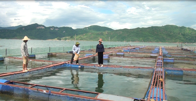 Ông Lò Văn Khặn ở bản Co Chặm (nay là bản Bung Én, xã Chiềng Bằng, huyện Quỳnh Nhai) hướng dẫn bà con cách cho cá ăn. Ảnh: Văn Thiệu.