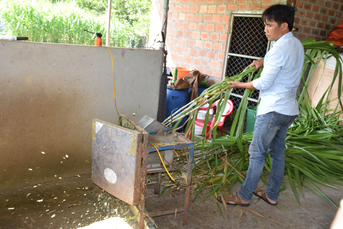 Người chăn nuôi bò ở huyện miền núi Vân Canh (Bình Định) sắm cả máy cắt cỏ cho bò ăn. Ảnh: V.Đ.T.