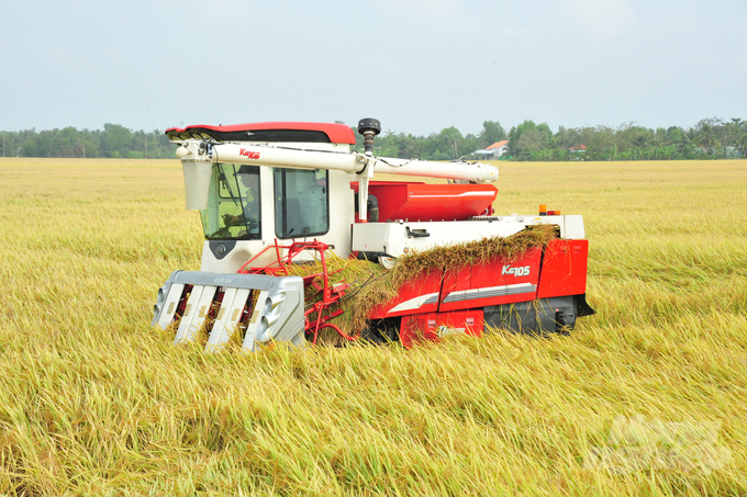 Triển khai Đề án 1 triệu ha lúa chất lượng cao, nông dân sẽ được nâng cao kiến thức, kỹ năng sản xuất, quản trị, thị trường, giảm chi phí sản xuất, tiêu thụ ổn định và tăng thu nhập. Ảnh: Lê Hoàng Vũ.