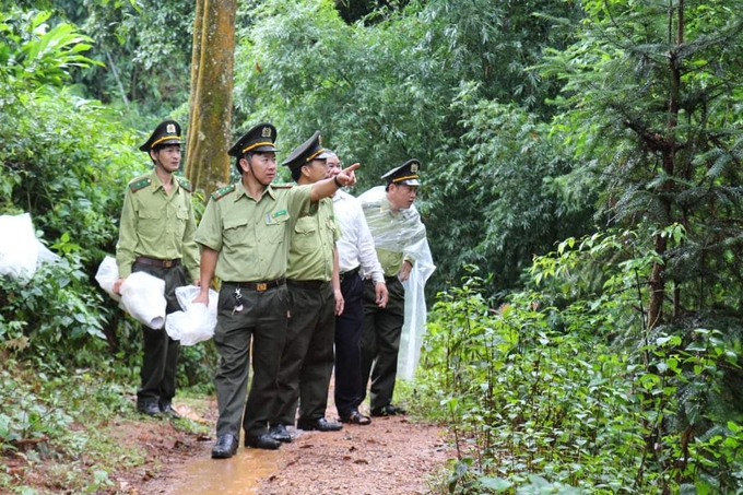 Công tác tuần tra bảo vệ rừng ở các địa bàn vùng cao tỉnh Yên Bái  còn gặp nhiều khó khăn. Ảnh: Thanh Tiến.