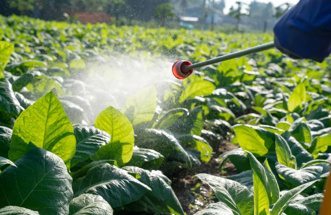 Some of the pesticides used to grow the nation's crops contain PFAS that have been linked to hormone and immune dysfunction. 