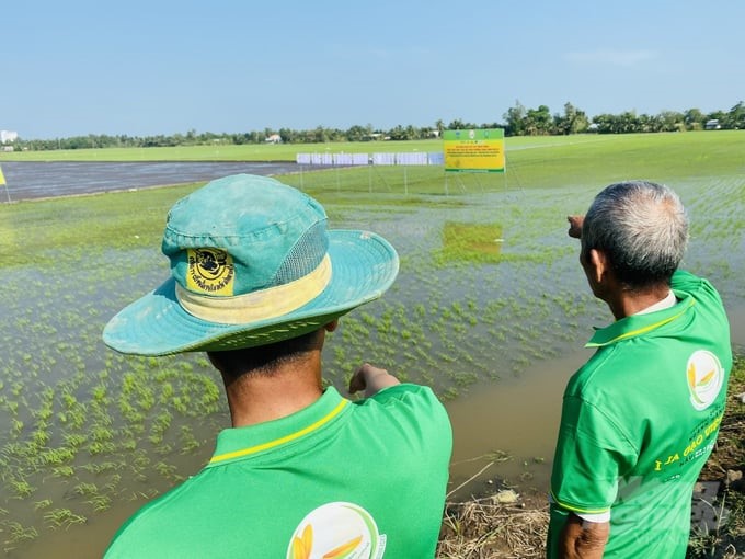 Alternate wetting and drying irrigation is an important technical solution in emission-reducing rice farming. Photo: VAN.