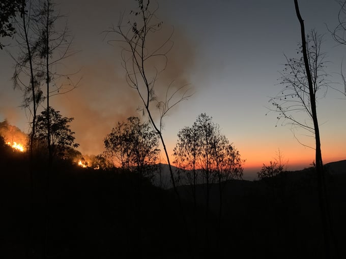 The number of forest fires in Yen Bai province has rapidly decreased with the assistance of the 'Forest Fire Monitoring and Early Warning' software. Photo: Thanh Tien.