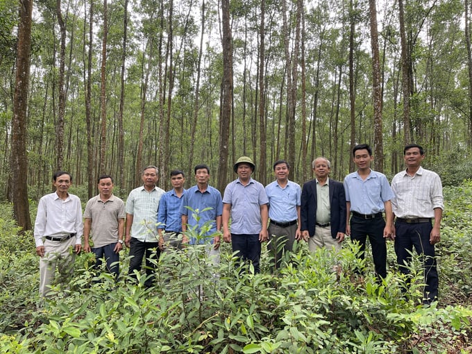 Participants at the seminar visiting a large timber plantation model. Photo: Viet Toan.