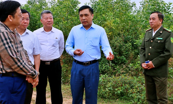 Thứ trưởng Nguyễn Quốc Trị cùng đoàn công tác ngành lâm nghiệp kiểm tra rừng trồng tại tỉnh Quảng Trị. Ảnh: Bảo Thắng.