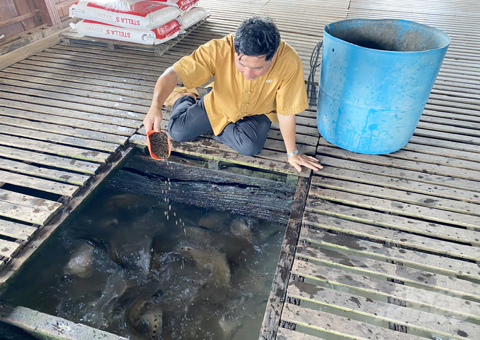 Theo ông Bảy Bon, thát lát cườm vốn là loài thủy sản được người dân ở ĐBSCL nuôi trong ao đầm nên số lượng không nhiều, ông đã thử sức đưa cá thát lát xuống nuôi trên dòng nước chảy. Cá được sống trong môi trường gần như tự nhiên, độ sâu, dòng nước chảy chuẩn, độ pH từ 7-8%, độ kiềm từ 120-150 ppm, nước ít bị ô nhiễm nên giúp cá mau lớn mà thịt rất ngon.