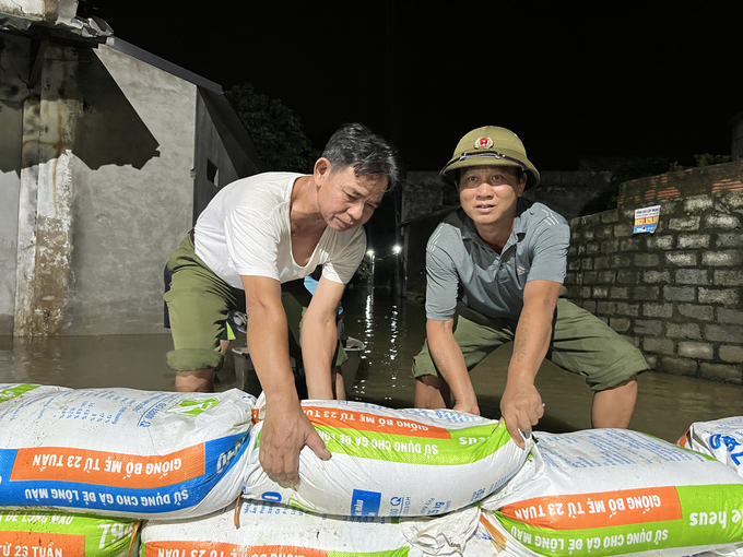 Người dân thôn Đồng Dâu, xã Tốt Động, huyện Chương Mỹ tham gia cứu hộ đê trong đêm. Ảnh: Hùng Khang.