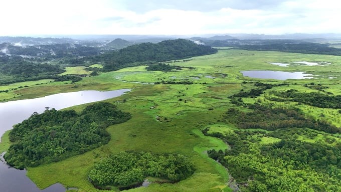 A corner of Cat Tien National Park. Photo: Tran Trung.