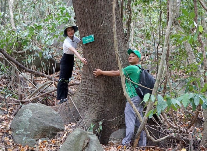 Eco-tourism helps raise tourists' awareness of forest protection. Photo: Tran Trung.