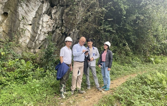 Ông Lý Ngọc Vinh (ngoài cùng bên trái) cùng các chuyên gia khảo sát các diện tích rừng chuẩn bị cấp chứng chỉ FSC. Ảnh: Quang Linh.