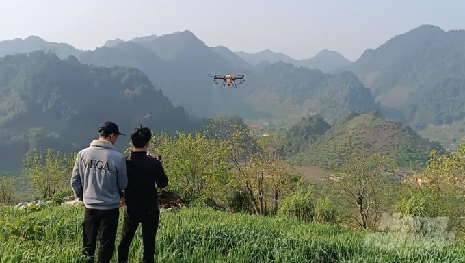 Drones are helping farmers reduce costs and labor in production. Photo: Quoc Toan.